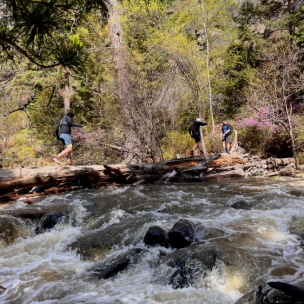 Беговой тур на Алтай - изображение 4