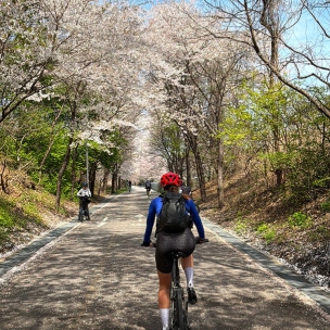 Южная Корея. Из Сеула в Пусан 2027 - изображение 1