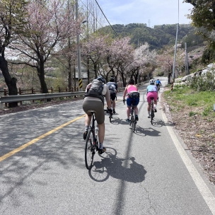 Южная Корея. Из Сеула в Пусан 2027 - изображение 6